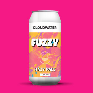 Craft Beer Monthly Subscriptions Real Ale UK England Alcohol Delivery Cloudwater Fuzzy